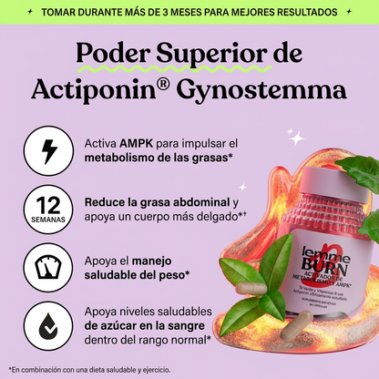 Lemme Burn - Apoyo al Metabolismo y Reducción de Grasa Abdominal